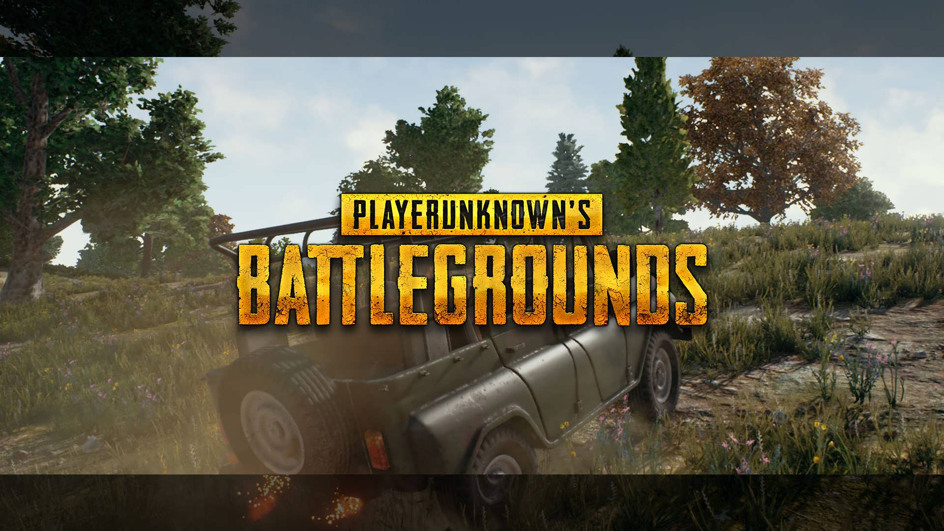 Дата выхода PUBG 1.0 на ПК (Релиз)