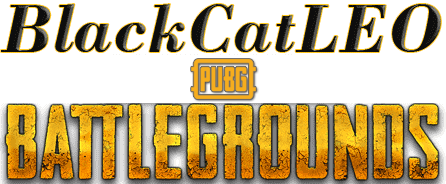 BlackCatLEO в игре PUBG